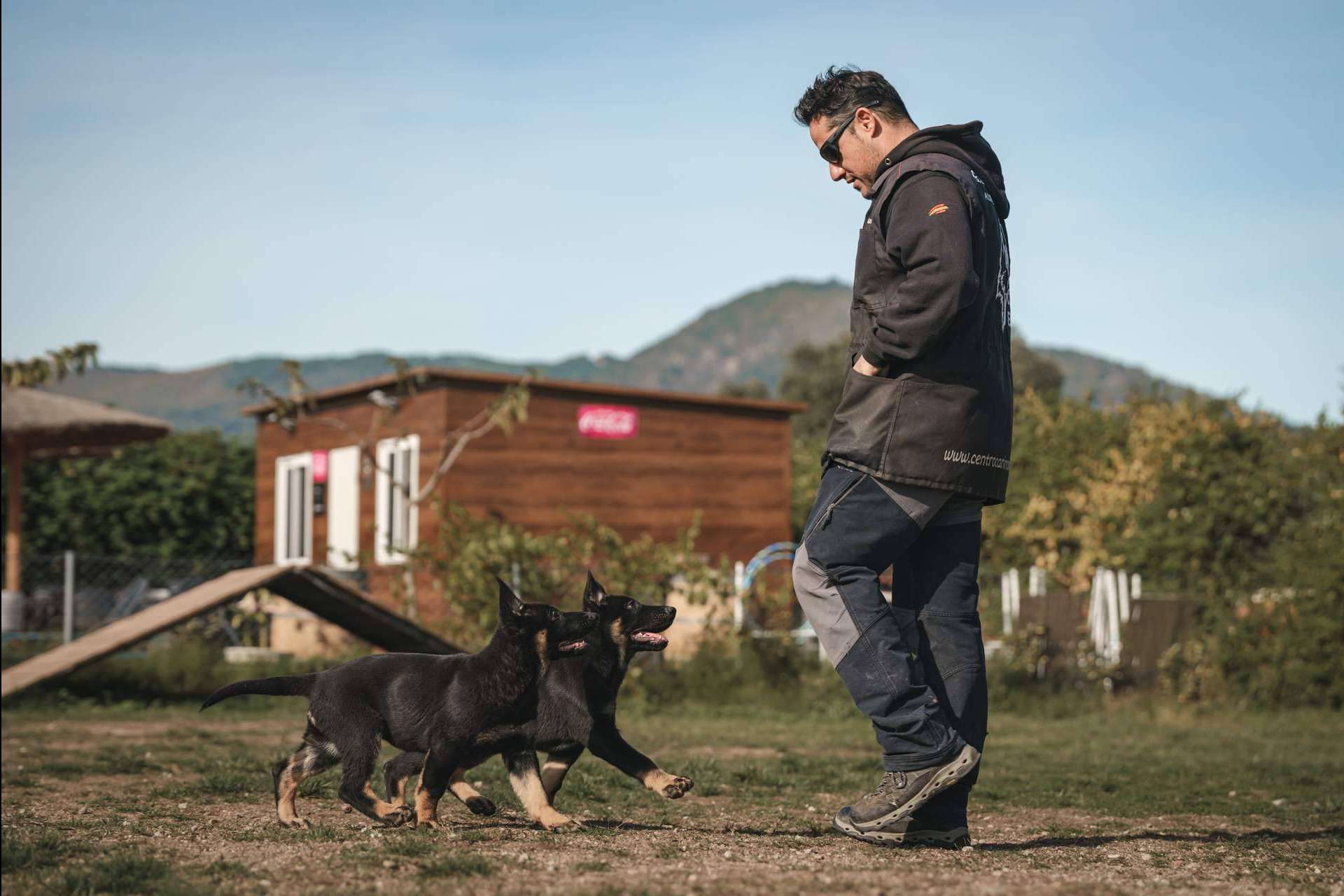 Monte Ida, residencia e instrucción canina en instalaciones exclusivas en Madrid
