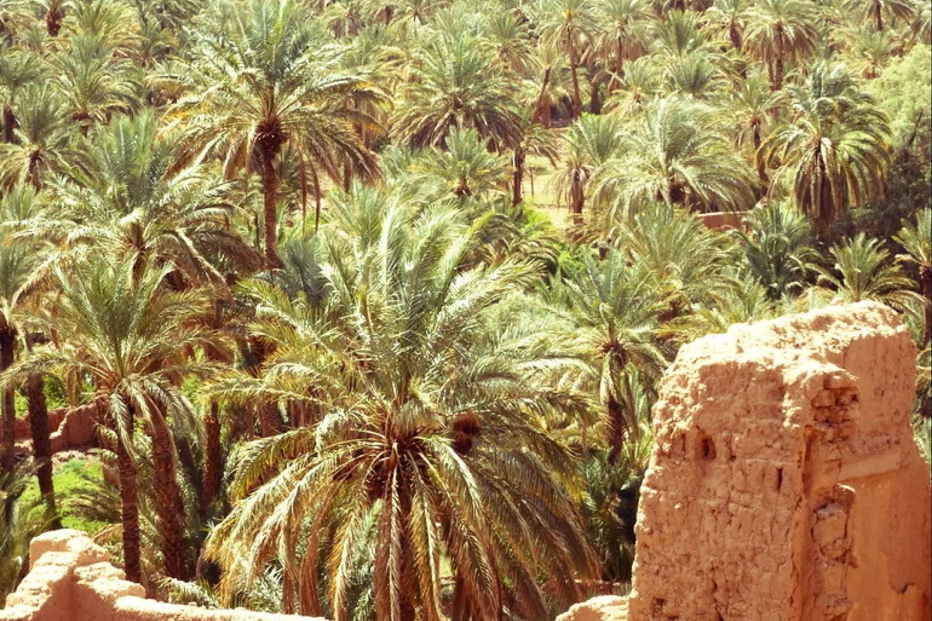 Viajes privados por Marruecos fuera de las rutas turísticas