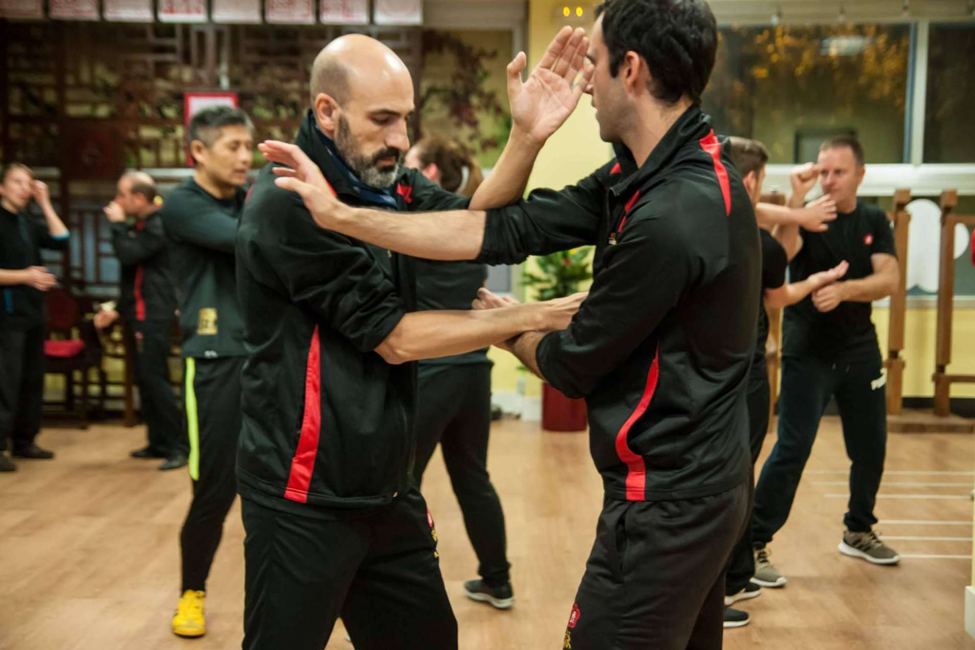 ¿Qué es el Wing Chun y cuáles son sus fases y niveles tradicionales?