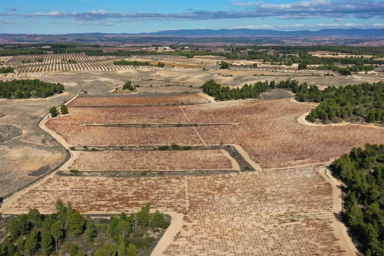 Vegalfaro, vinos con un fuerte compromiso con la agricultura ecológica