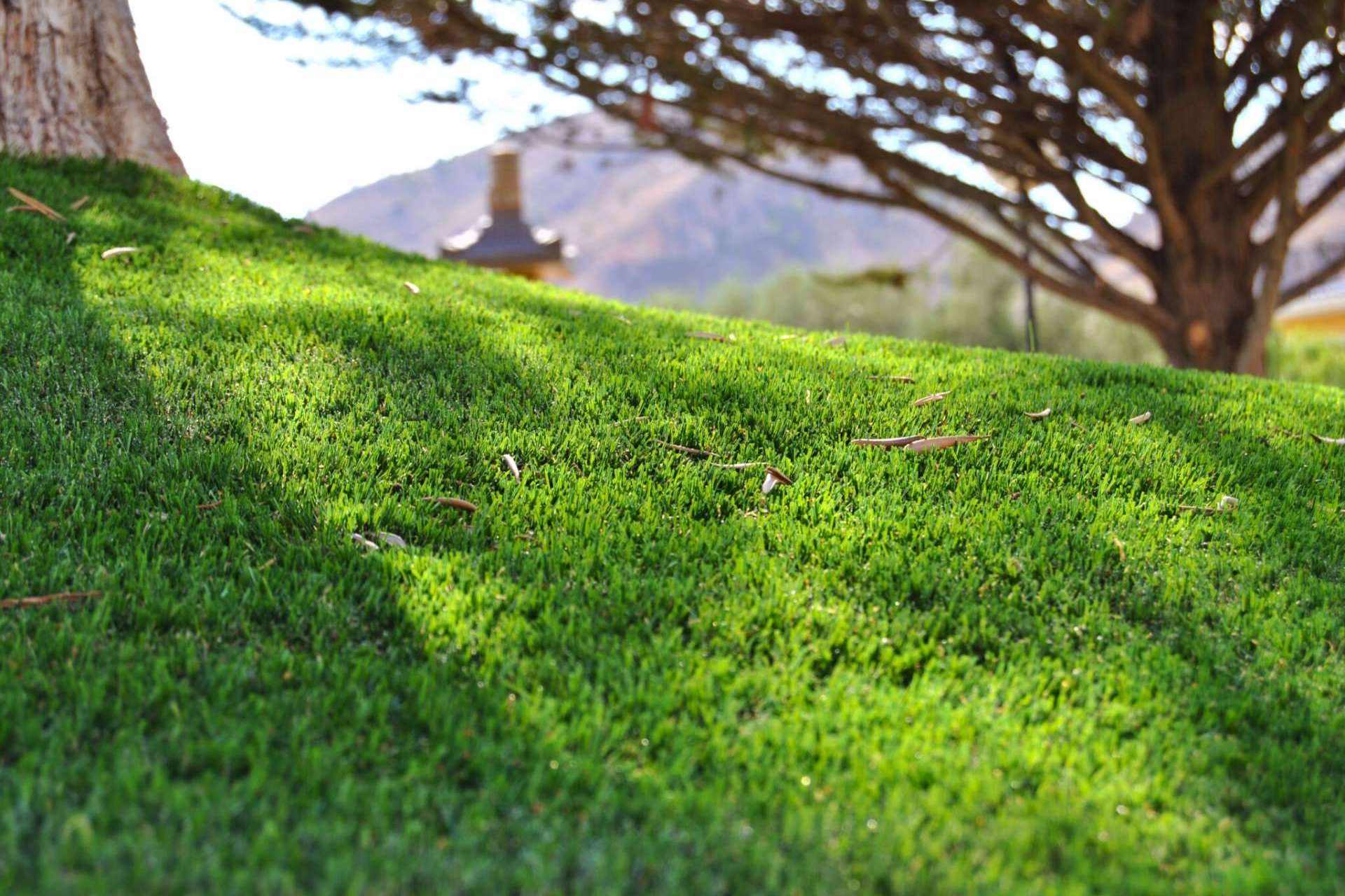 Tecnología Natural Look® de Albergrass para un aspecto más realista
