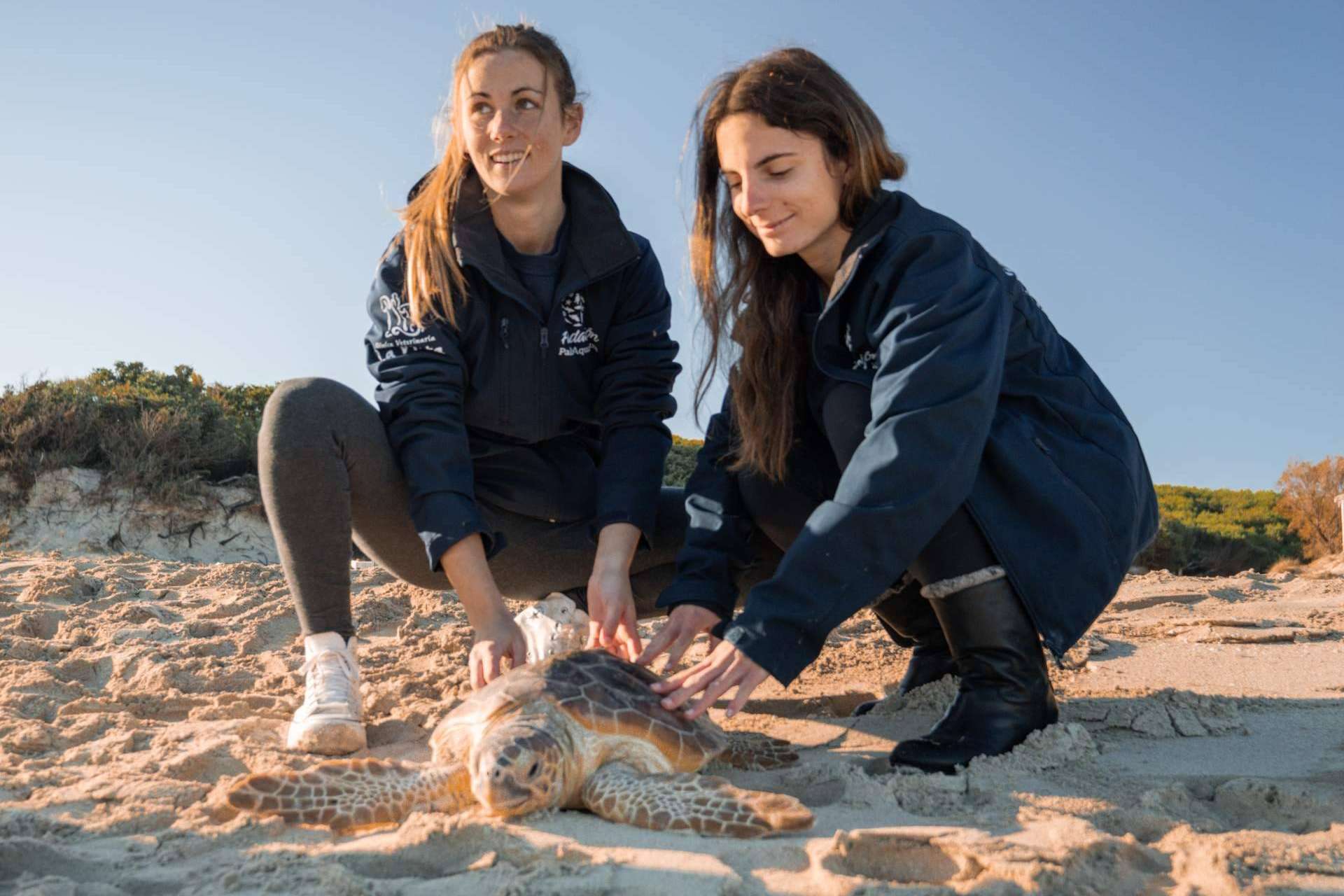 Palma Aquarium lanza ‘Som de la Mar’ con una fiesta benéfica por el Día de las Islas Baleares