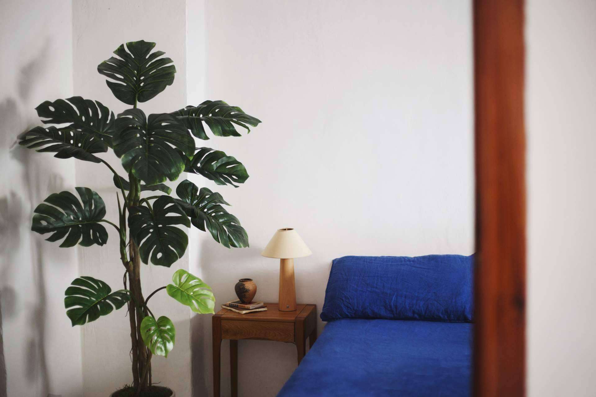 MAIA SHOP; El secreto mejor guardado de la decoración premium ya tiene nombre