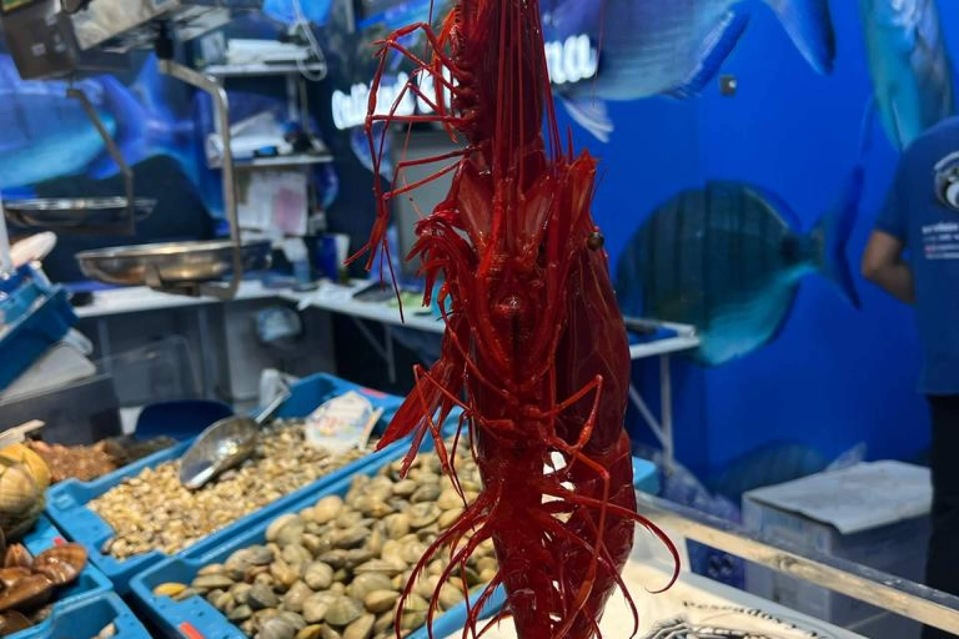Mariscos frescos y contacto directo, Pescadería Younes Ceuta afianza su modelo en el Mercado Central