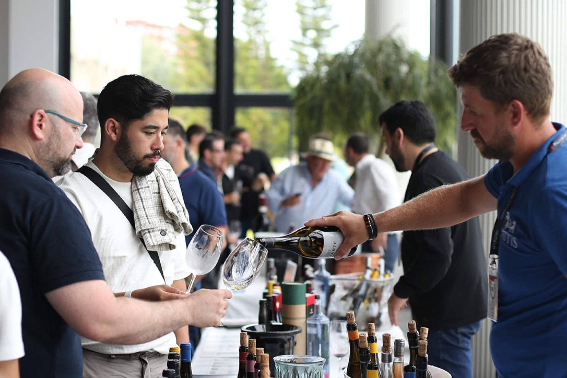 INVINO 2025 consagra a Galicia como epicentro del vino en España