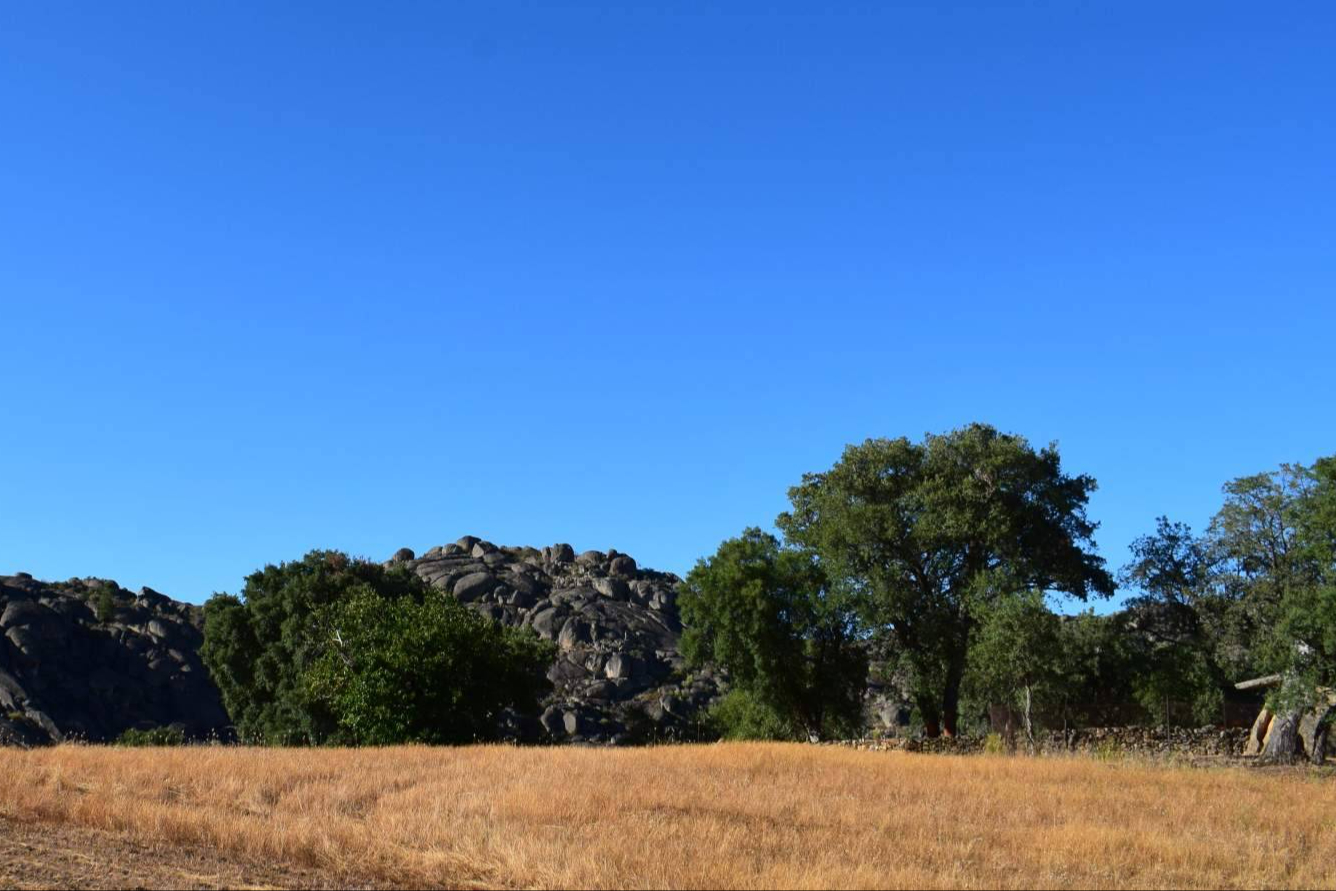 La propuesta de un emprendedor de la Reserva de la Biosfera Tajo Internacional