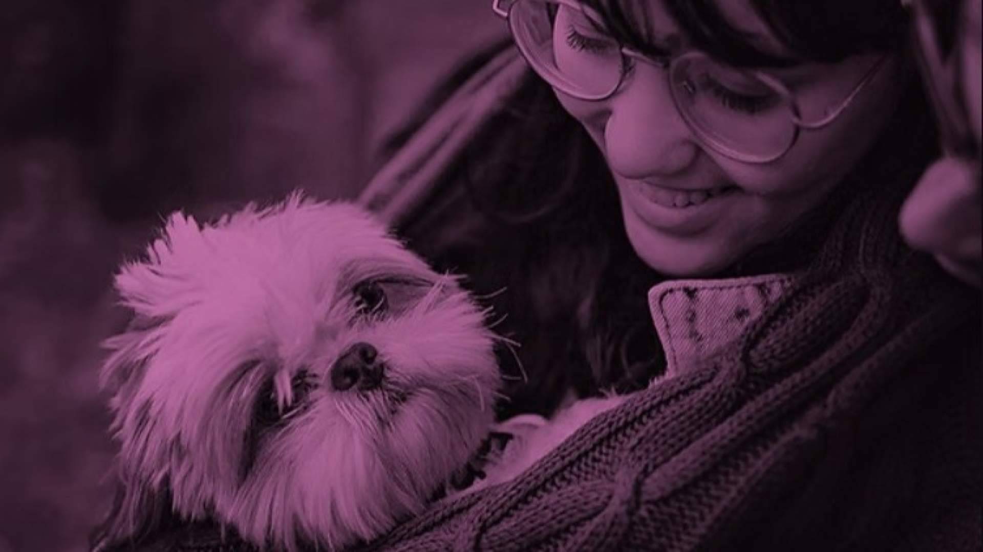 Datamars España amplía sus soluciones tecnológicas para ganadería e identificación de mascotas