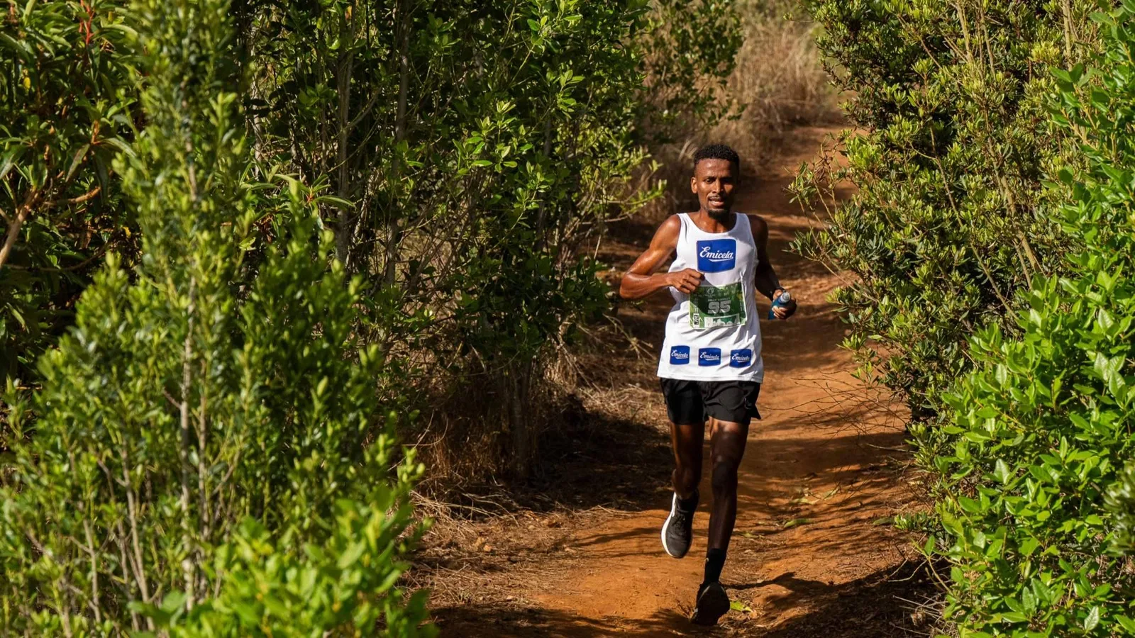La Aguas de Teror Trail lanza La Quiniela Emicela, el juego oficial abierto a todos los aficionados