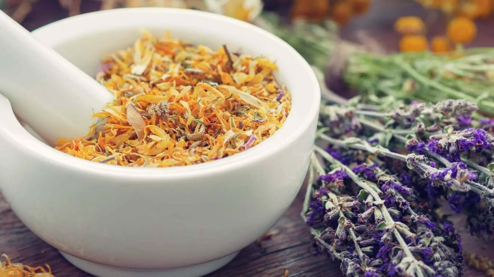 El 'Máster Naturopatía' de ISED Expert llega en octubre para dar respuesta al auge de las terapias integrativas